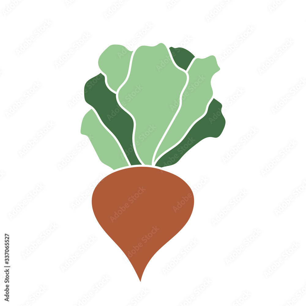 Hand drawn vector element - beet Hand drawn vector element - beet