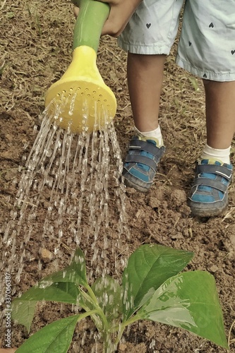 woman planting flowers