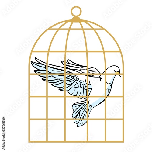 White dove in a cage. Symbol of lack of freedom.