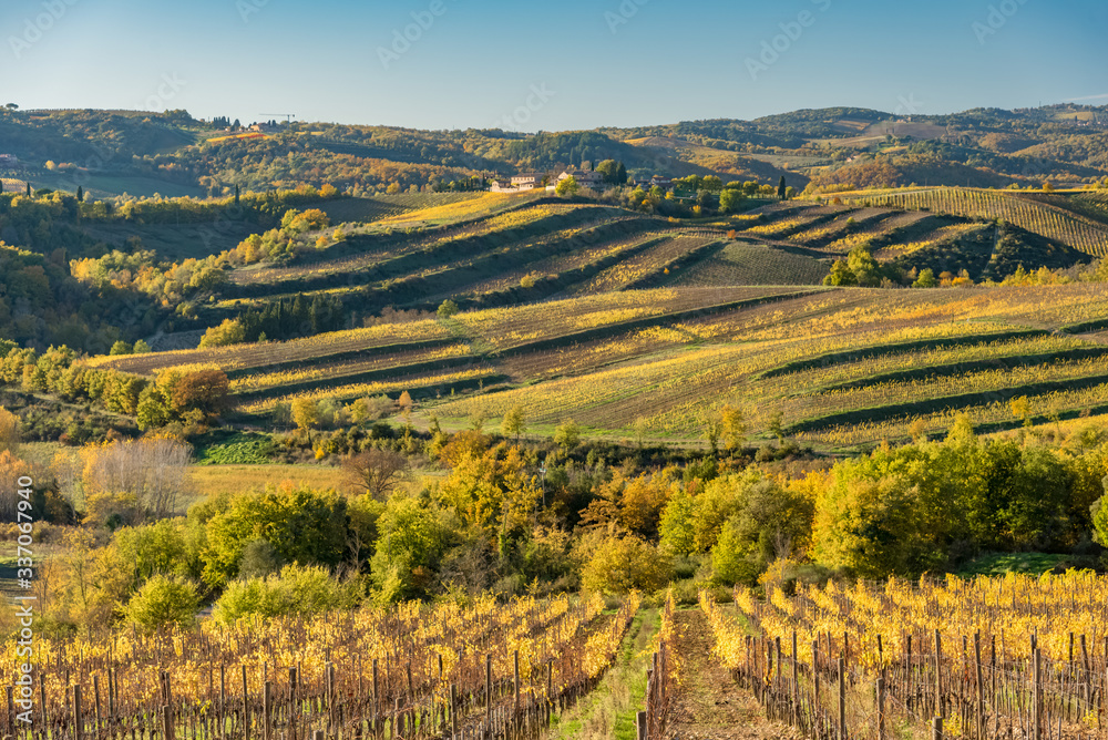 Naklejka premium colors of the Tuscan countryside in the province of Siena