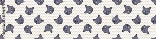 Cute cartoon British shorthair kitten face seamless border pattern. Pedigree kitty breed domestic kitty background. Cat lover English purebred washi ribbon. Feline EPS 10 trim. 