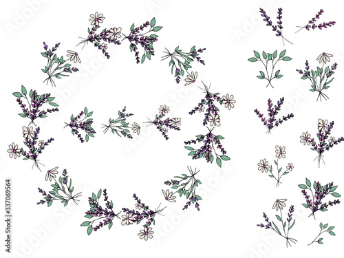 Decorative festive color wreath of cute bouquets, flowers and plants in doodle style. Lilac lavender. Tender camomile. Pattern brush. Elements of the wreath. Isolated objects on a white background.