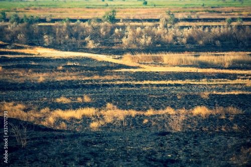 Black surface of the rural field with a burned grass. Black ground with ashes from the grass. Perspective view of the meadow after fire.