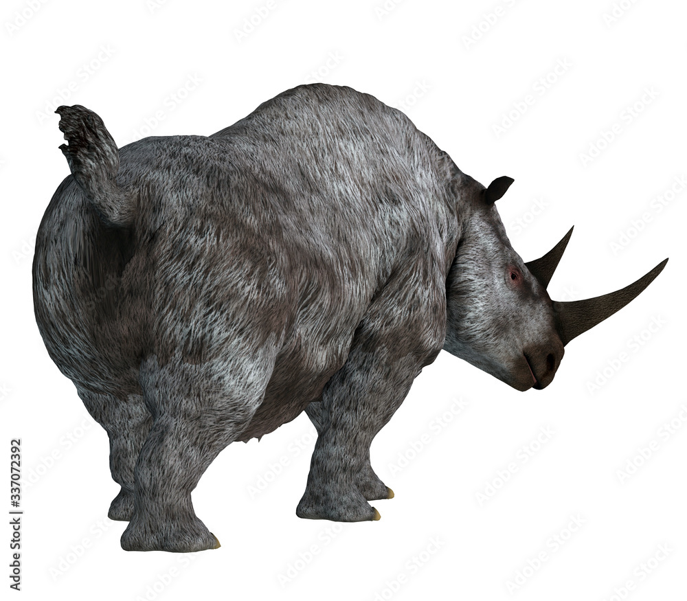 Woolly Rhino Tail - The Woolly Rhino was a herbivorous rhinoceros that  lived in Asia and Europe during the Pleistocene Period. Stock Illustration  | Adobe Stock