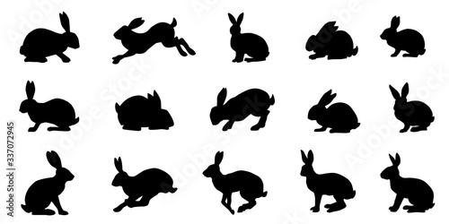 Fototapeta rabbit and hare silhouettes