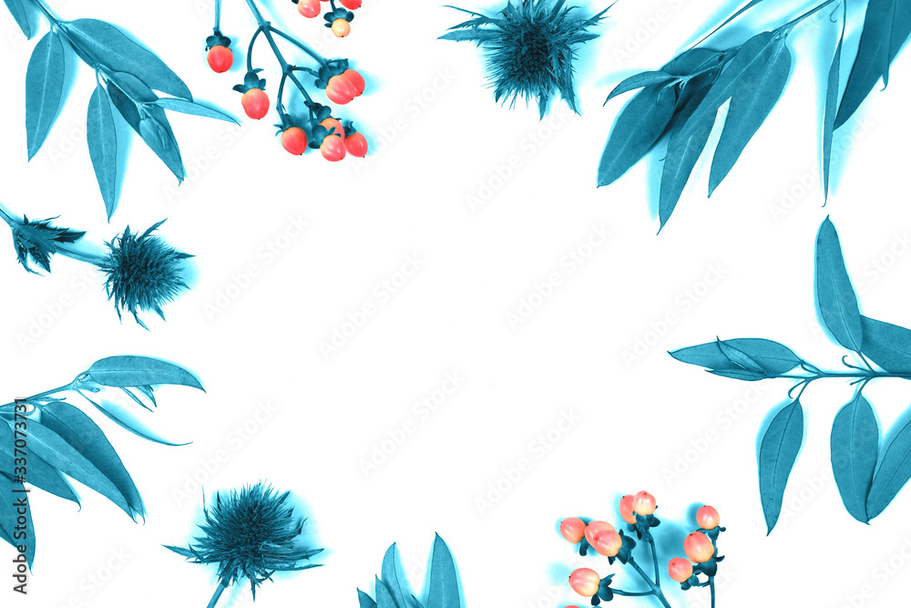 On an isolated white background turquoise leaves and red decorative berries, top view. In the center is a meto for inscription.