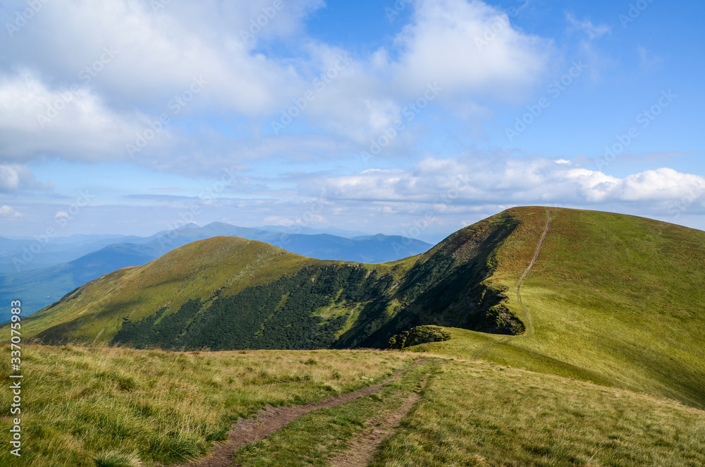 Fototapeta premium Hillsides, grassy meadow and green trees against scenic mountain backdrop beneath blue sky and white clouds. Svydovets ridge, Carpathian, Ukraine