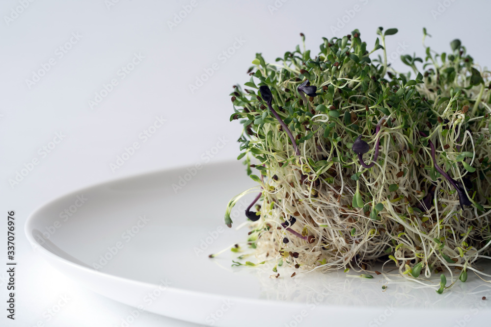 micro greens: the green sprouts on the white plate.