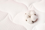 Cotton flowers on a comfortable mattress texture background top view. White texture of mattress bedding background. Healthy sleep concept, comfortable bed. Tender air background with cotton