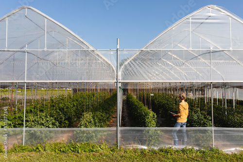 Woman working on digital tablet in greenhouse photo