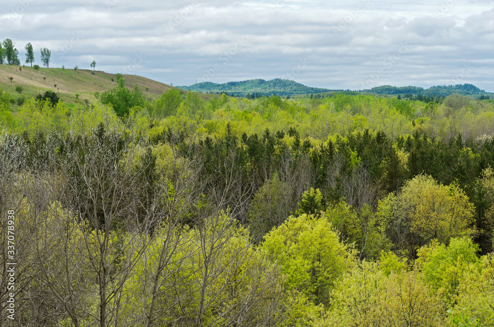 Forests and hills near black river falls