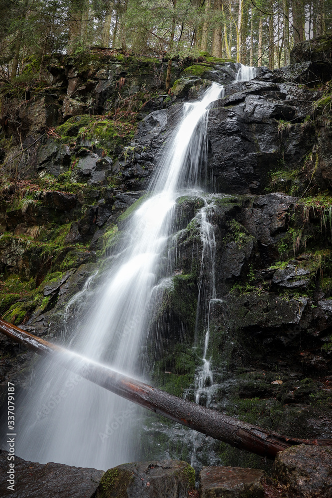Obraz premium Waterfall in Black Forest