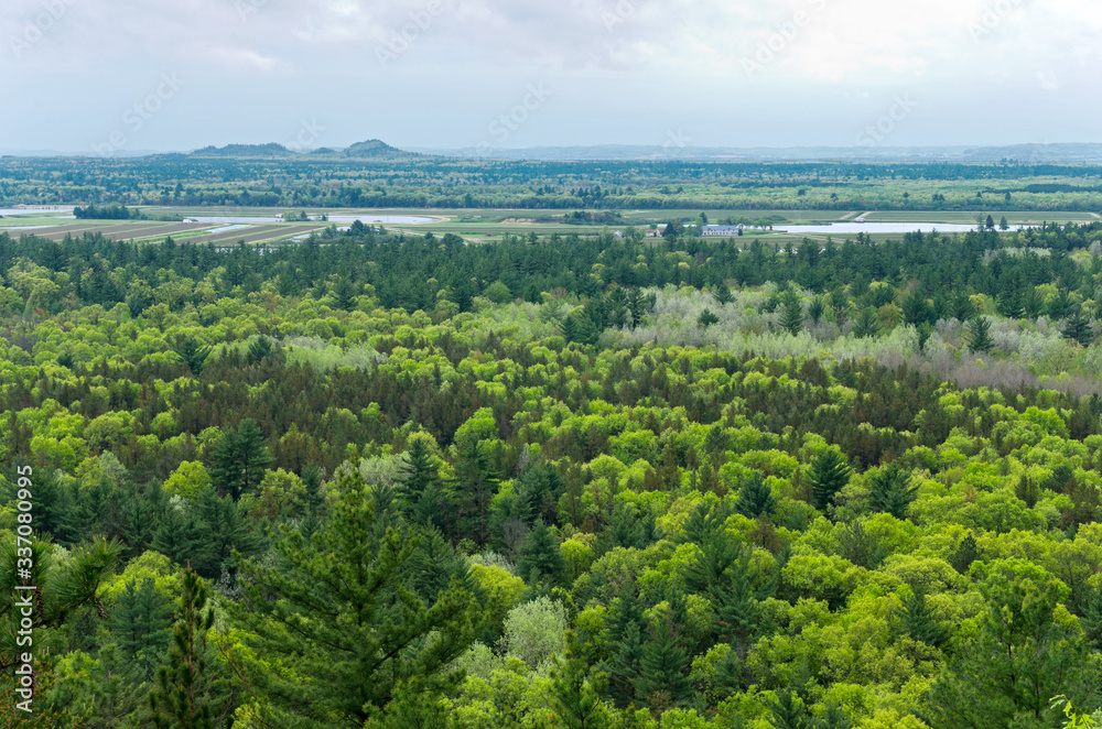 Aerial view of black river state forest