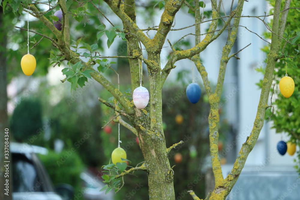 bunte Eier im Baum Stock Photo Adobe Stock