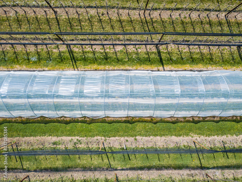Aerial view of plastic greenhouse on apple orchard. Plant cultivation in organic farming in Switzerland.