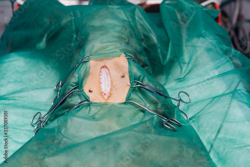 Surgery Of A Dog In A Veterinary Clinic. photo