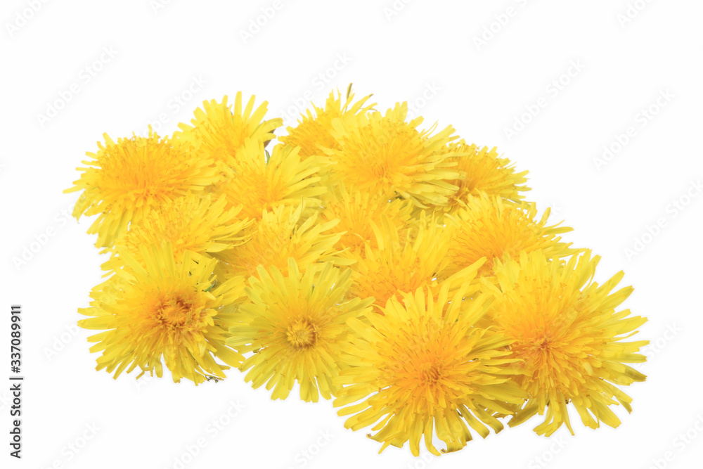 yellow flowers yellow flowers