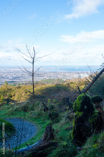 Stunning view of Dublin city and port from Ticknock, 3rock, Wicklow mountains. Gorse and forest plants in foreground during calm weather