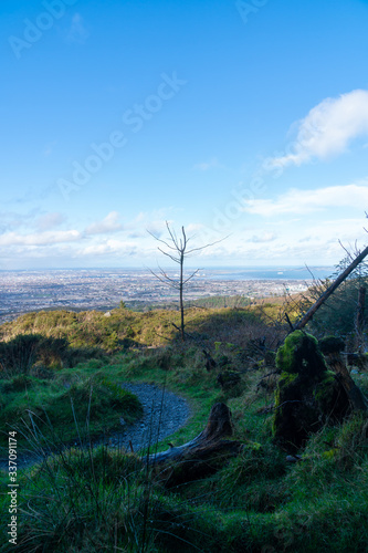 Stunning view of Dublin city and port from Ticknock, 3rock, Wicklow mountains. Gorse and forest plants in foreground during calm weather
