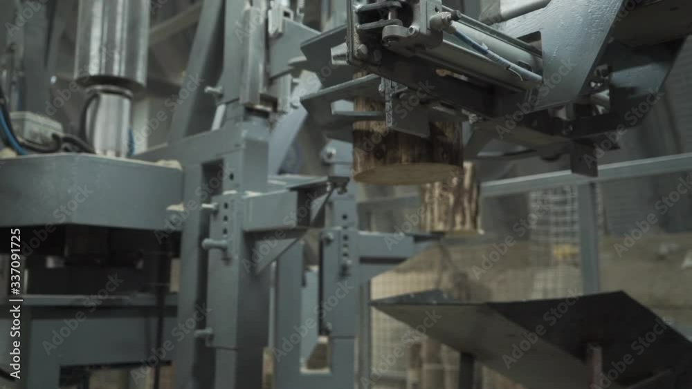 Modern automatic machine cuts raw wood Modern automatic machine cuts raw wood
