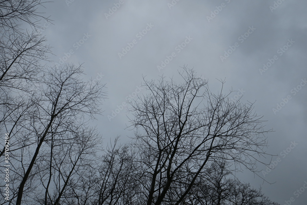 Grauer Himmel Grauer Himmel