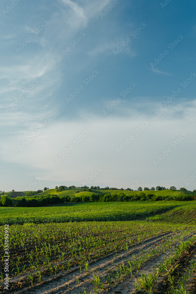 Field Field
