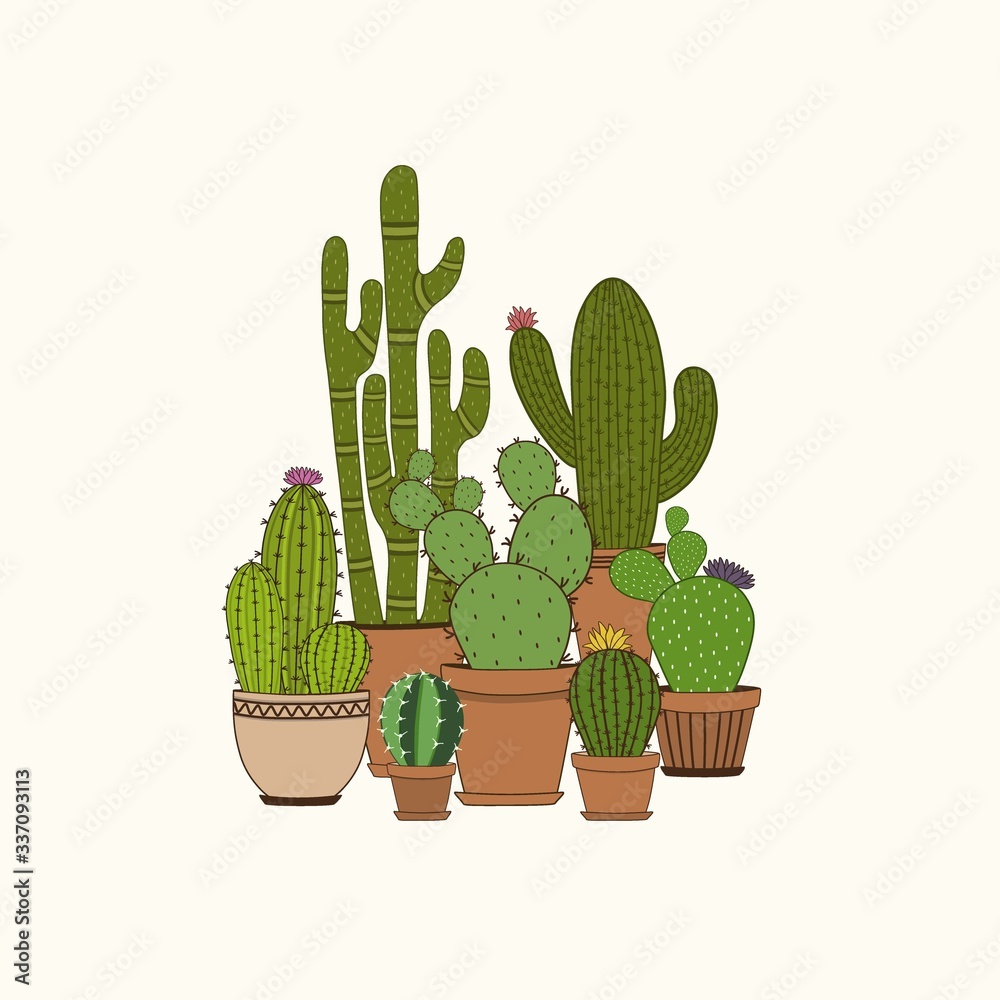 Set of colorful cactus plants in garden pots Set of colorful cactus plants in garden pots