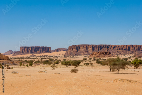 Rock formation and desert vegetation, Sahara dessert, Chad, Africa
