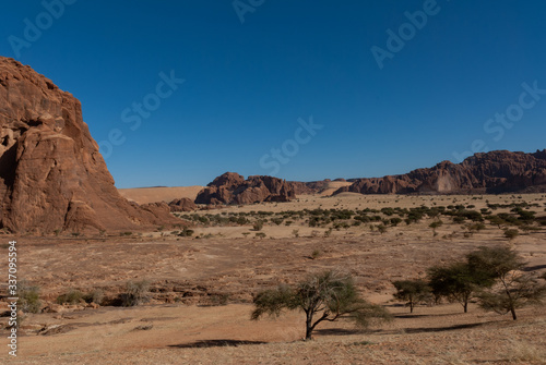 Natural rock formations and trees, Ennedi Plateau in Sahara dessert, Chad, Africa