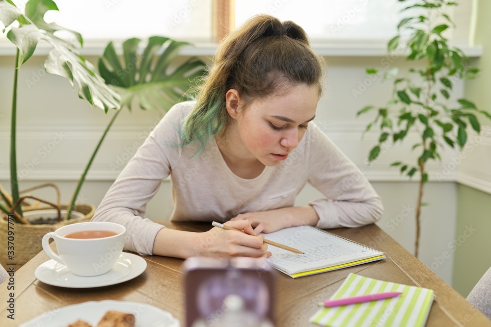 Girl teenager student talking on video communication using smartphone Girl teenager student talking on video communication using smartphone
