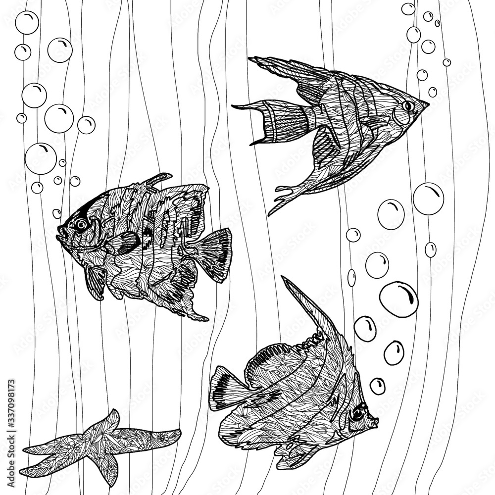 Ocean fish and plants isolated on white background. Coloring book page ...