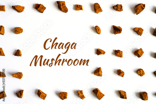 chaga mushroom. broken pieces of birch tree chaga mushroom for brewing natural medicinal detox tea, isolation on white background. regular pattern. text ofl font