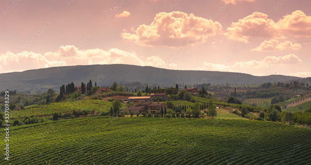 beautiful tuscany hills, view of the vineyards