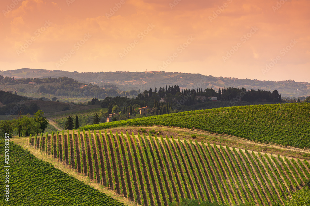 beautiful tuscany hills, view of the vineyards