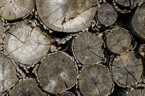 weathered wooden logs
