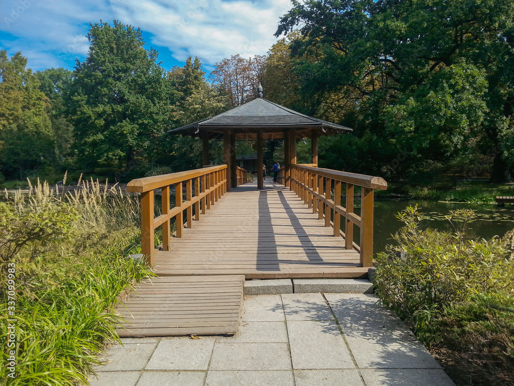 Obraz premium wooden bridge with bover over the river