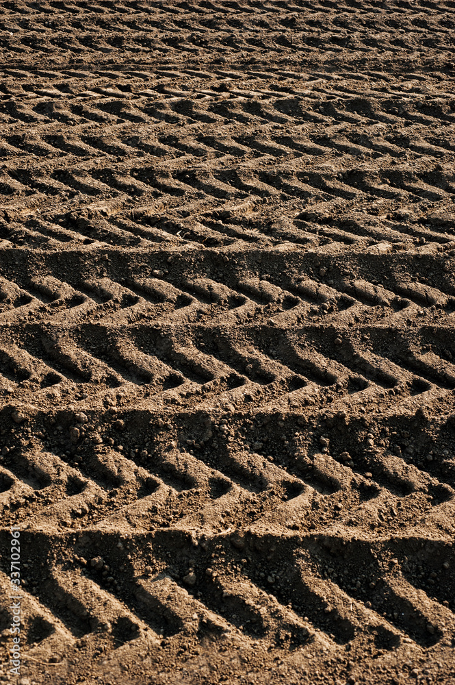 arable land during the preparation of the land for sowing, followed by tractor tires arable land during the preparation of the land for sowing, followed by tractor tires