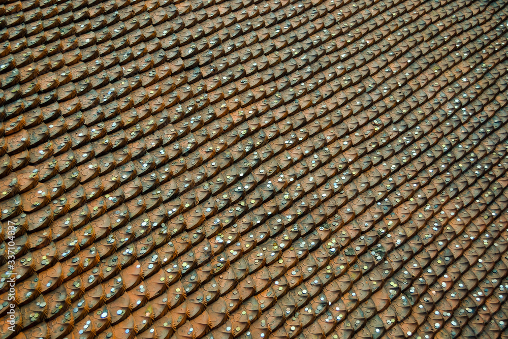 Fototapeta premium old roof tiles with coins