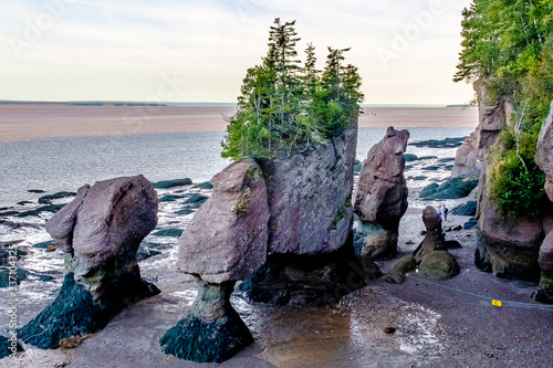 Wonder of nature: Hopewell Rocks at the Bay of Fundy during low tide