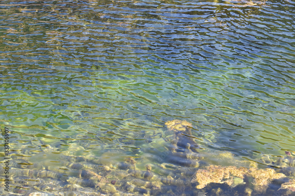 Wasseroberfläche, die sich im Wind kräuselt mit Algen Wasseroberfläche, die sich im Wind kräuselt mit Algen