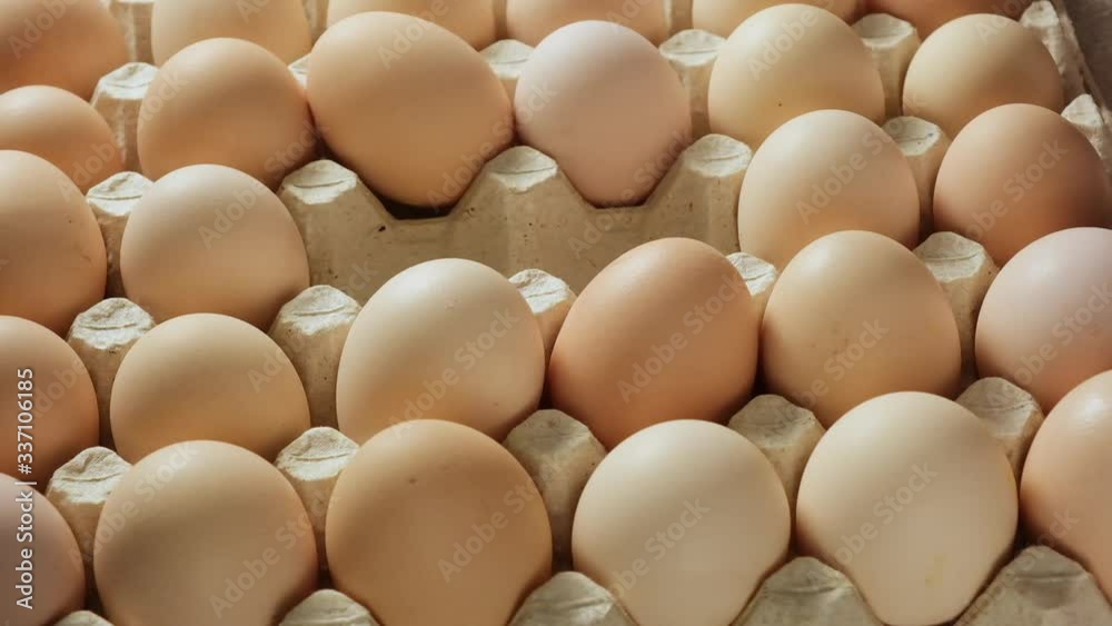hand puts whole fresh chicken eggs in a paper tray, close up hand puts whole fresh chicken eggs in a paper tray, close up