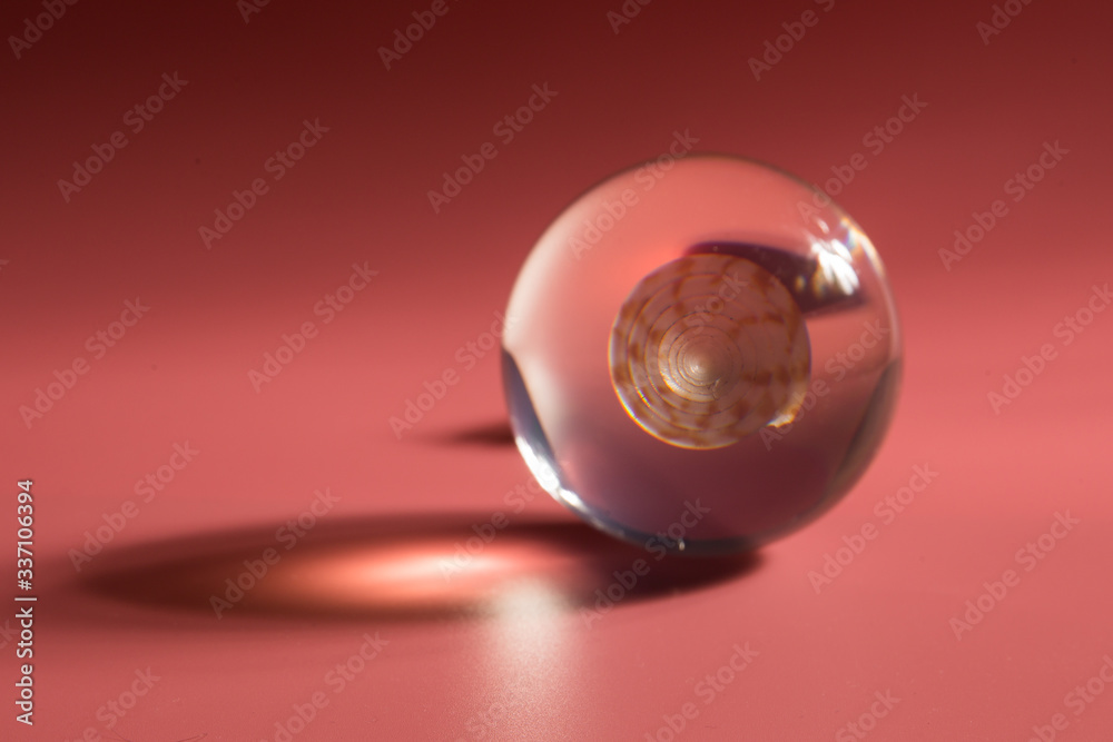 seashell in a glass ball on a pink background seashell in a glass ball on a pink background