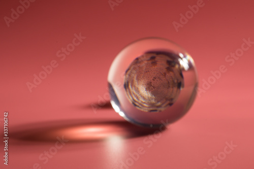 seashell in a glass ball on a pink background