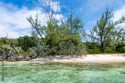 Tropical vegetation in Stock Island  Exuma  Bahamas .