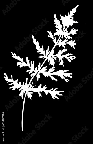 fern sprig with white leaves painted with white lines on a black background, linear hand drawing, monochrome drawing for printing on fabric and paper.