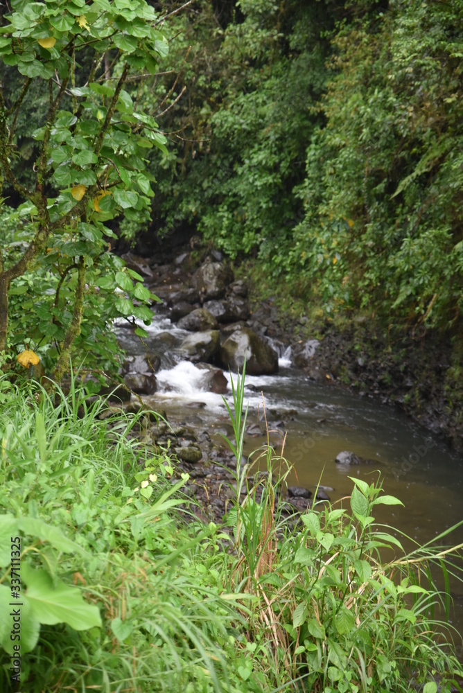 torrent torrent
