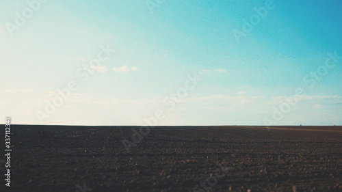 Still shot of cinematic empty desolate wheat field under blue sky. Panoramic rural landscape. Spring season. Agriculture and harvesting.
