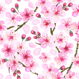 Watercolor illustration of pink cherry blossom. Hand painted spring time flower pattern.