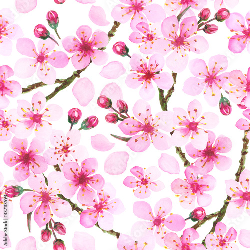 Watercolor illustration of pink cherry blossom. Hand painted spring time flower pattern.