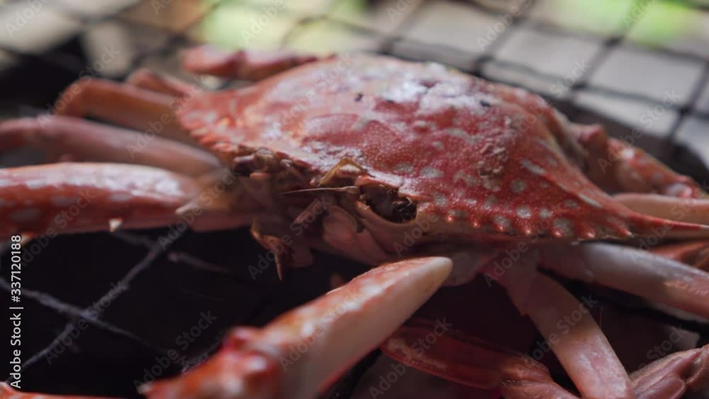 Flower crab get grilling on a traditional stove. Thai seafood menu with delicious taste. Thai street food menu. burning charcoal with hot flame underneath. hot menu and good for picnic time. Flower crab get grilling on a traditional stove. Thai seafood menu with delicious taste. Thai street food menu. burning charcoal with hot flame underneath. hot menu and good for picnic time.